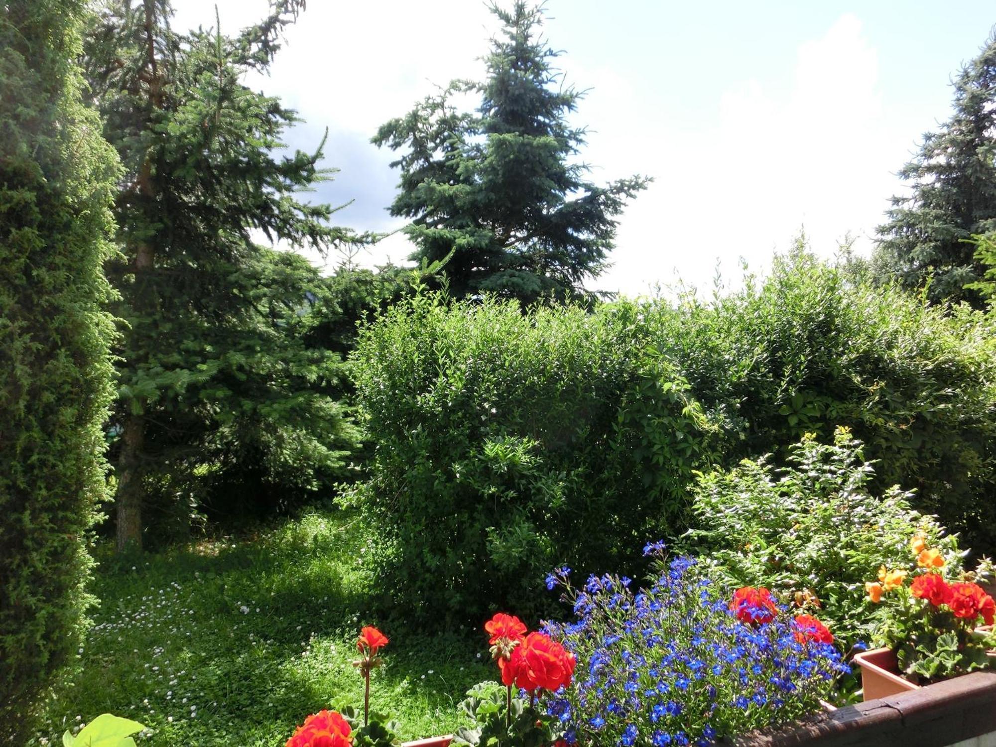 Holiday Home In Cattenstedt Harz With Garden Bagian luar foto