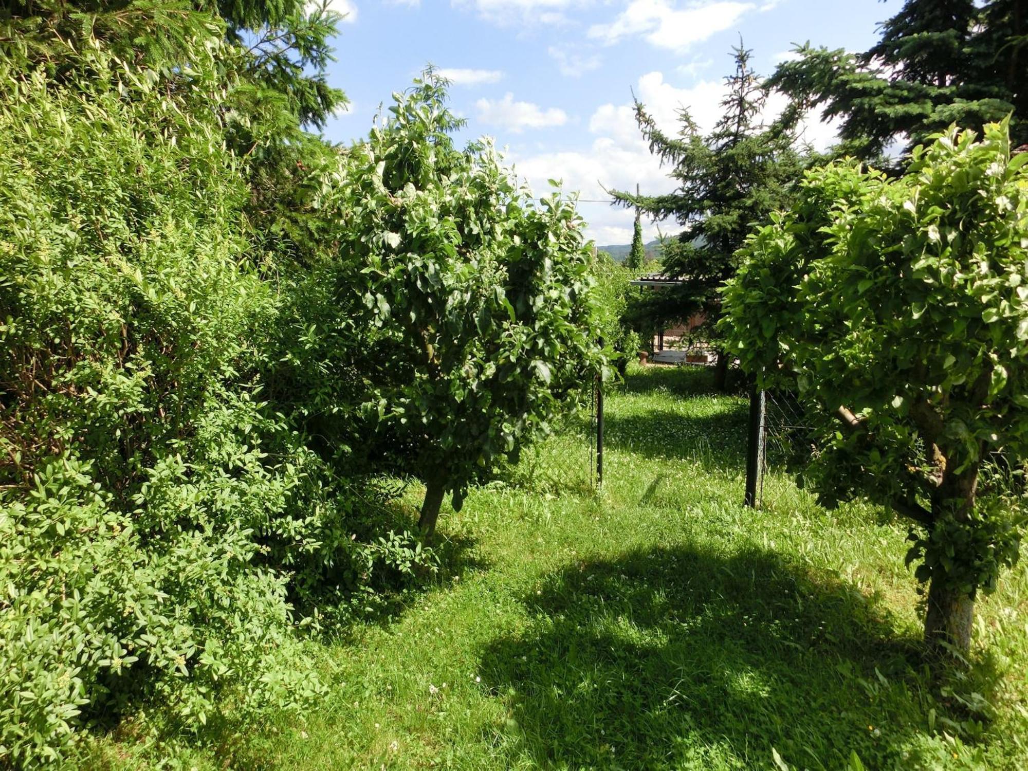 Holiday Home In Cattenstedt Harz With Garden Bagian luar foto